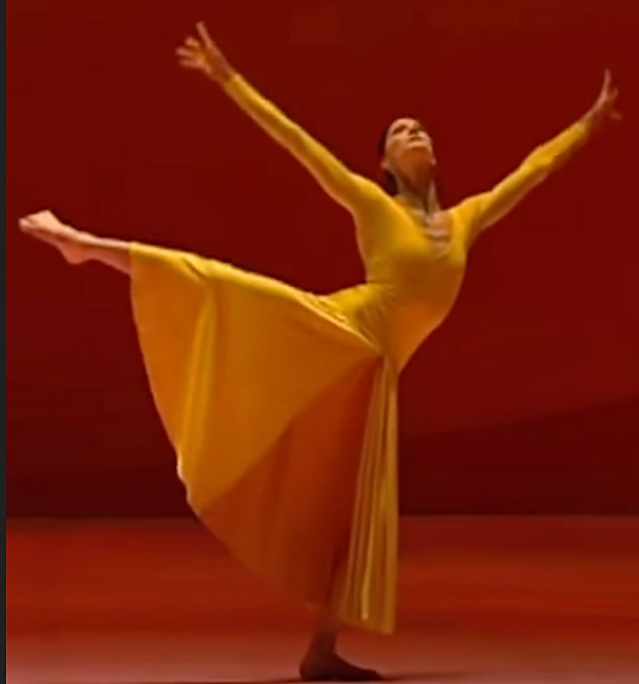 L’œuvre : Marie-Agnès Gillot, ballet Signes